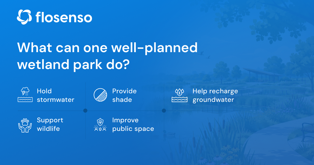 What a well-planned wetland park can do: hold stormwater, support wildlife and recharge groundwater